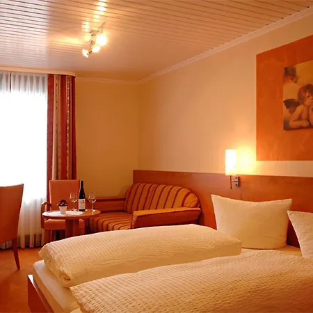 酒店 Hotel-restaurant Alte Weinschaenke *