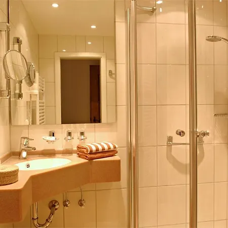 Hotel-restaurant Alte Weinschaenke