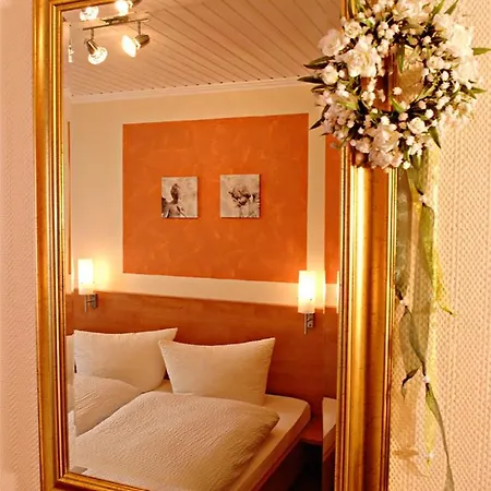 Hotel-restaurant Alte Weinschaenke 酒店