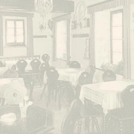 酒店 Hotel-restaurant Alte Weinschaenke