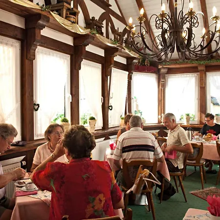 Hotel-restaurant Alte Weinschaenke 酒店 *