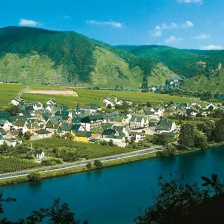 Hotel-restaurant Alte Weinschaenke * 埃伦波特道夫